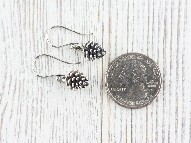 May include: A pair of silver earrings with a small pine cone charm. The earrings are shown next to a US quarter for size reference.