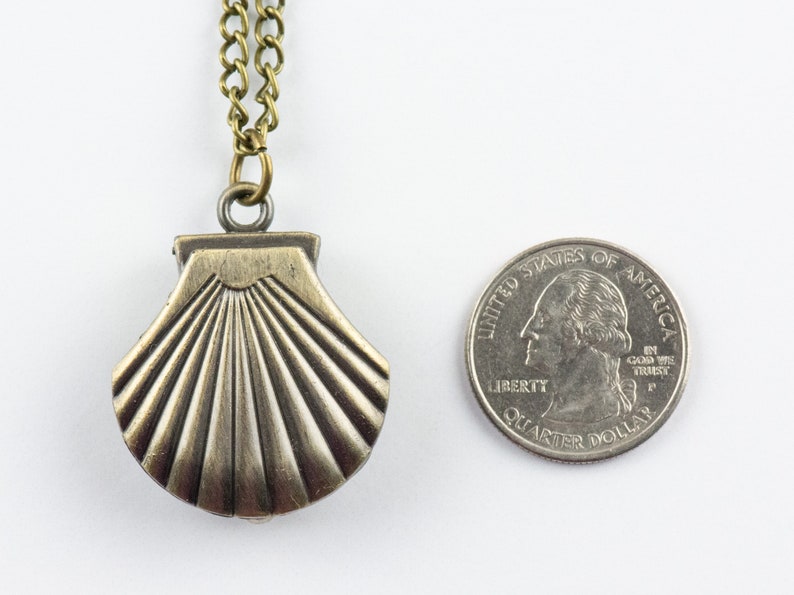 May include: A silver-toned seashell pendant necklace with a brass chain. The pendant is about the size of a UK 20 pence coin.