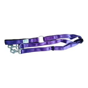 May include: Purple double dog lead with two metal clips and a metal ring. The lead has the text "YAY E.J.G" printed on it.