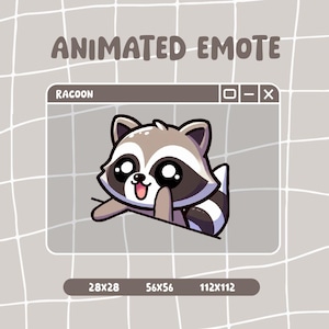 Emote raton laveur bongo / Emote animé / Emotes pour Twitch et Discord