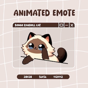 Bongo Ragdoll Cat Emote / Animated emote / Siamese Emotes for Twitch and Discord