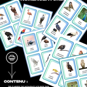 Les oiseaux communs : cartes de nomenclature
