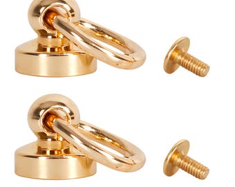 Brass Chicago Screw Back Studs, DIY Leathercraft Rivets