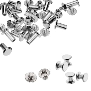 Rivetti a vite Chicago a testa piatta, in ottone resistente, rivetti a pressione manuale per lavori fai da te in pelle, abbigliamento, giacche, decorazioni e abbellimenti (argento)