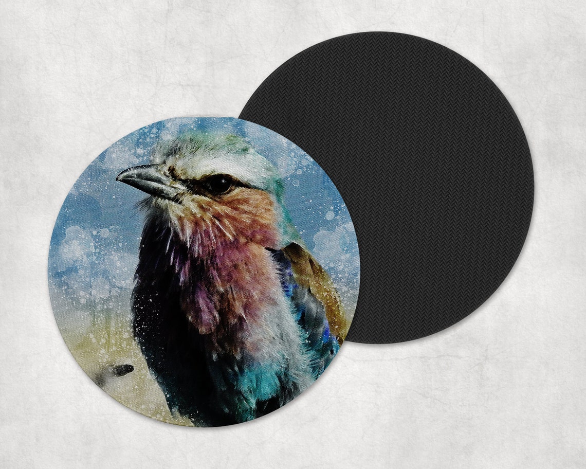 Colorful Bird Coaster Bird Coaster Coaster For Home Etsy