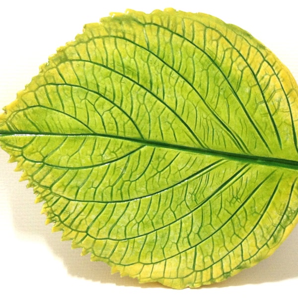 Hydrangea Leaf Plate, Yellow and Green Pottery Leaf