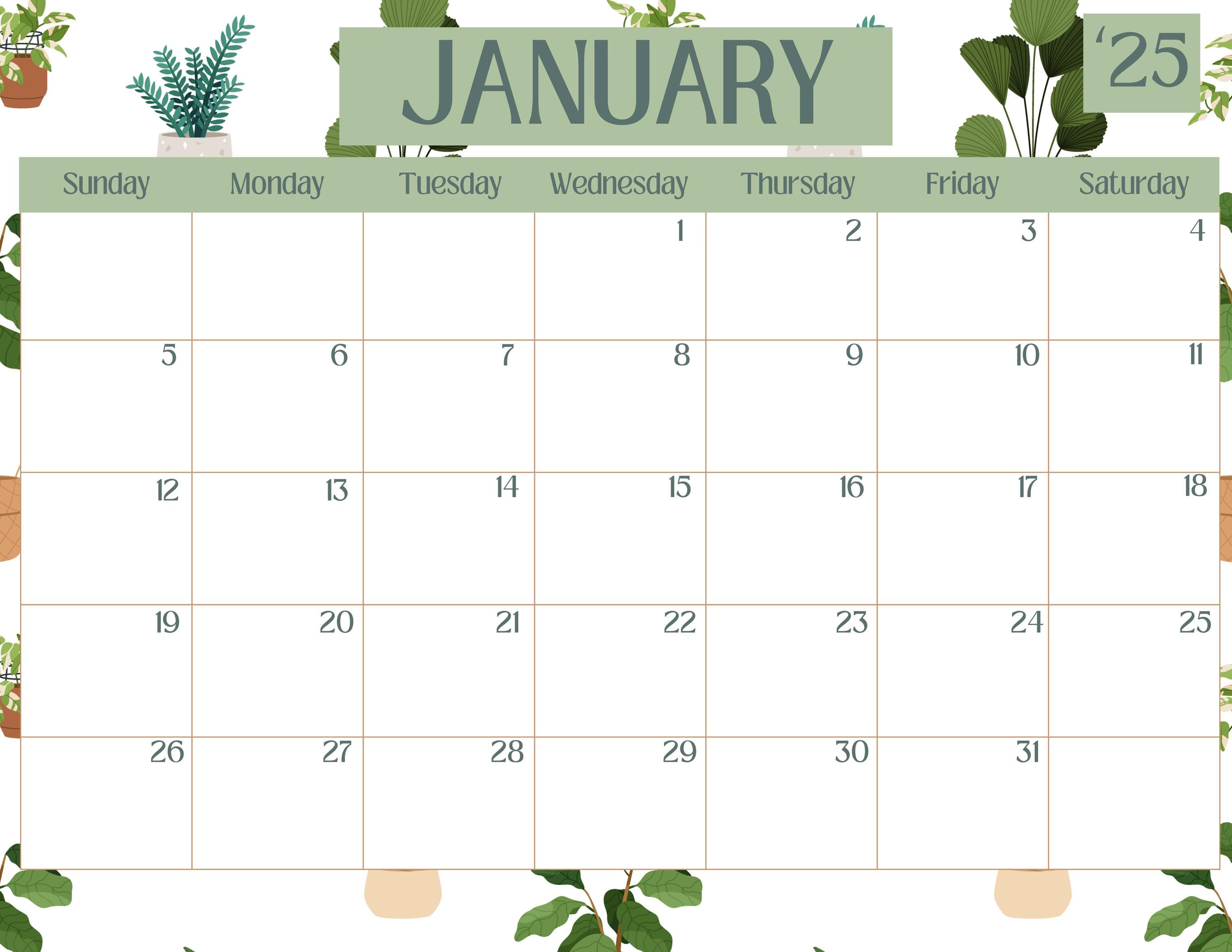 FREE EDITABLE MONTHLY CALENDAR TEMPLATE 2025 visual data 7