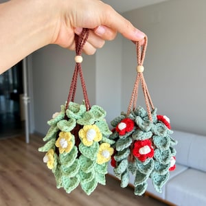 Personalized Plant Car Hanging Accessories, Boho Car Decor, Custom Gift Idea for Plant Lovers , Gift for Mom Birthday, Flower Port Accessory