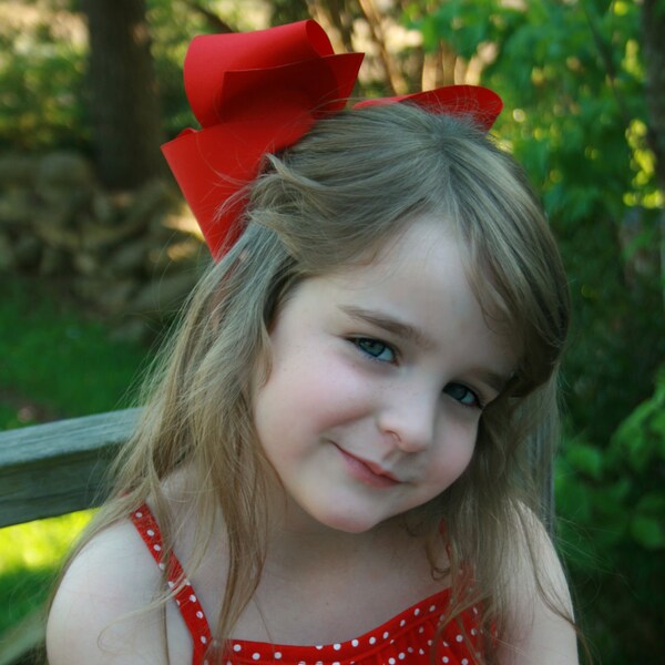 Custom Order -- RESERVED for DSmith --12 Ultimate Hair Bows
