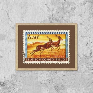 Belgisch Congo Belge Briefmarke, Vintage afrikanische Briefmarkenkunst Porto gerahmter Leinwanddruck, afrikanische Hippotigris, afrikanisches Zebra, Reiseplakat-Druck
