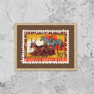 Belgisch Congo Belge Briefmarke, Vintage afrikanische Briefmarkenkunst Porto gerahmter Leinwanddruck, afrikanische Hippotigris, afrikanisches Zebra, Reiseplakat-Druck