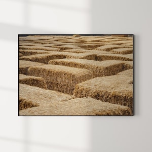 Nature Photo Haystacks Print Сozy Rural Poster Country Farmhouse Wall Art Rustic Printable Decor Summer Wall Art Country Style Hostel Decor