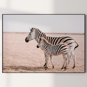 Printable Zebras Photography, Savanna Large Wall Art, African Safari Decor, Wild Animals Print, Zebra Poster, Wilde Zebras Poster