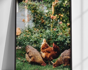 Three Hens in the Garden, Moody Chicken Portrait, Countryside Animal Poster, Sweet Wall Art for Kitchen, Farm Animal Poster,Farmhouse Decor