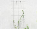 Metal Garden Trellis for Climbing Plants – Wall Trellis – Black/White/Rustic Finish product logo
