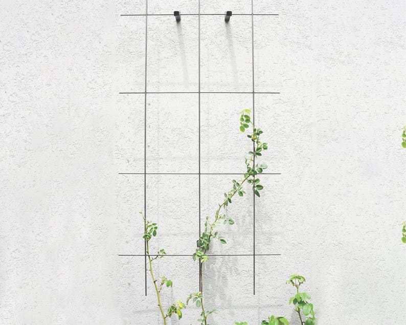 May include: A black metal trellis with a grid pattern is mounted on a textured white wall. Green vines with small leaves are growing along the trellis, adding a natural element to the design. The trellis is designed for climbing plants.