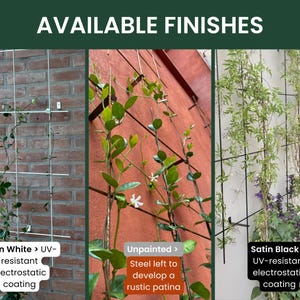 May include: Image showcasing three trellis finishes: Satin White, Unpainted, and Satin Black. Each trellis supports climbing plants. The Satin White and Satin Black finishes have UV-resistant electrostatic coatings. The Unpainted finish allows steel to develop a rustic patina.