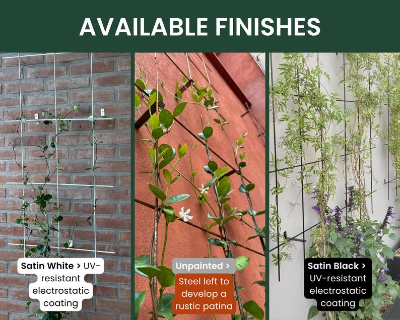 May include: Image showcasing three trellis finishes: Satin White, Unpainted, and Satin Black. Each trellis supports climbing plants. The Satin White and Satin Black finishes have UV-resistant electrostatic coatings. The Unpainted finish allows steel to develop a rustic patina.