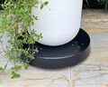 Metal Plant Caddy with Wheels – Heavy-Duty Rolling Planter Base for Large Pots | Indoor & Outdoor Use product logo