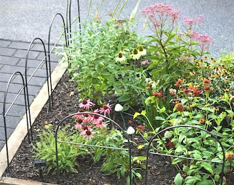 Metal Garden Border Fence: Medium Size, 25.6" Tall, Black Coated or Rustic Steel