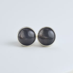 May include: A pair of round stud earrings. Each earring features a dark gray, polished stone set in a silver-colored bezel. The stones have a subtle, reflective quality, and the earrings are displayed against a white background.