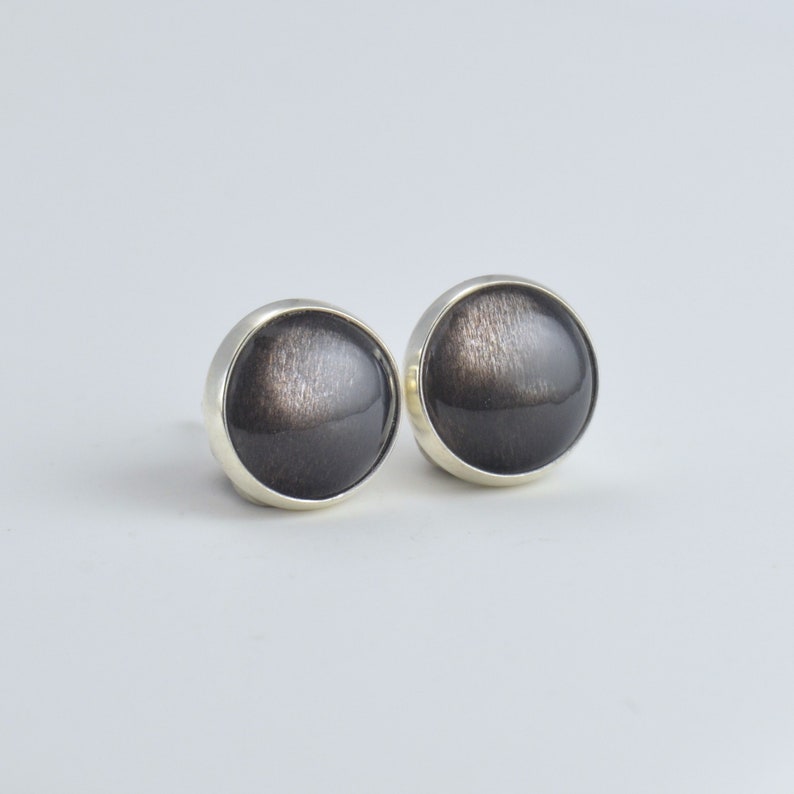 May include: A pair of round stud earrings. Each earring features a dark, iridescent, domed stone set in a silver-colored bezel. The stones have a shimmering, textured appearance, with shades of brown and gray.