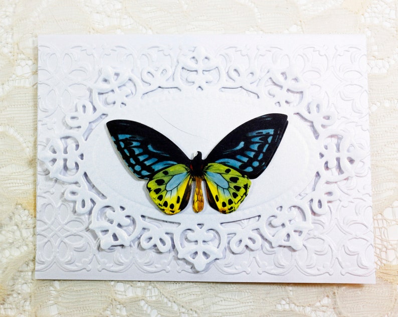 Butterflies Cards, 6 Blank Note Cards Set, Thank You, Invitation ...