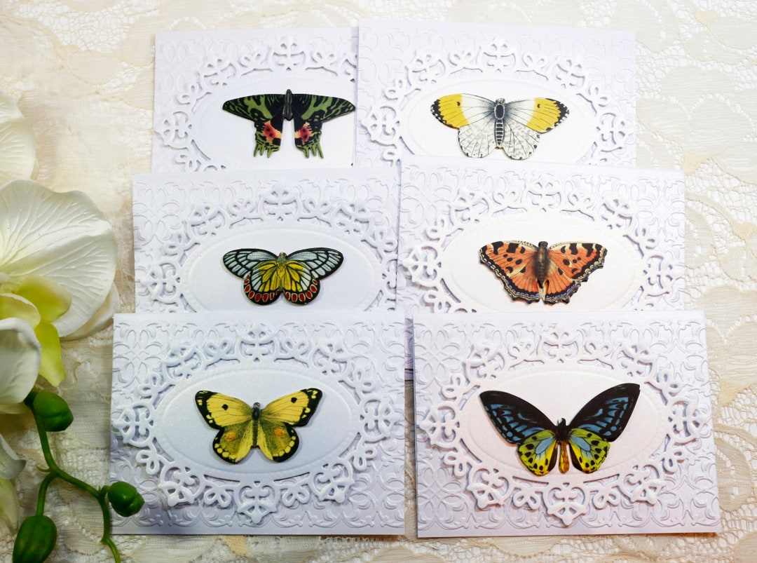 Butterflies Cards, 6 Blank Note Cards Set, Thank You, Invitation ...