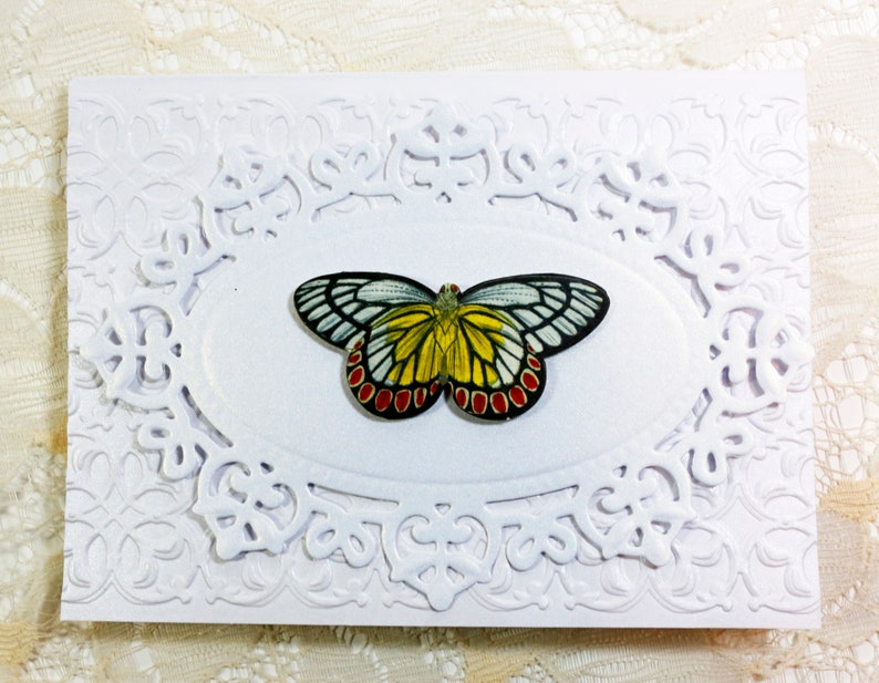 Butterflies Cards, 6 Blank Note Cards Set, Thank You, Invitation ...