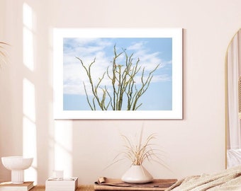 Ocotillo del oeste de Texas: decoración natural, impresiones artísticas, arte mural, decoración moderna del hogar, regalo para amantes de las plantas