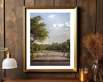 Impresión de Texas Hill Country: arte mural de San Antonio, hermosa decoración del oeste, perfecta para el hogar o la oficina, regalo para amantes de la naturaleza, al aire libre