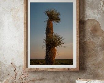 West Texas Palm: arte mural natural, impresión decorativa para el hogar, estética tropical, regalo para amantes de las plantas