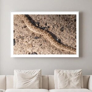 Op de afbeelding: Een ingelijste foto van een slang met een bruin en beige patroon, liggend op een getextureerd oppervlak. De afbeelding wordt gepresenteerd in een witte lijst, wat de wildernis benadrukt. Onderdeel van een woondecoratiecollectie, geschikt voor diverse interieurstijlen.