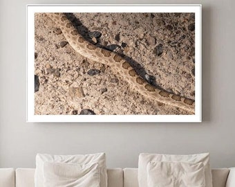 Serpiente de cascabel de Texas - Montañas Guadalupe, arte mural de naturaleza, estampado animal, decoración del hogar, arte de pitón, regalos para amantes de los animales