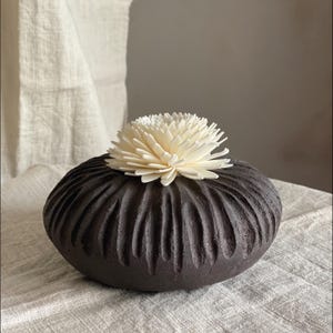 May include: A dark brown, rounded ceramic diffuser vessel with a textured, ribbed surface. A cream-colored, multi-petaled sola wood flower is positioned on top of the vessel, serving as a decorative element for fragrance diffusion.