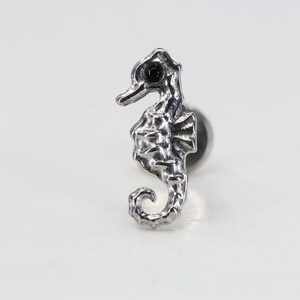 Titanium ASTM F136 (in221) Seahorse Internally Threaded 1.2mm (16ga) Suitable Conch, Helix, Cartilage, Tragus, Lobe etc