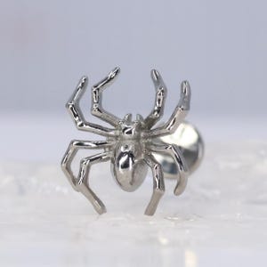 May include: A silver spider earring. The arachnid design features eight legs and a rounded body. The earring post is visible on the back. The jewellery is set against a soft, blurred background.
