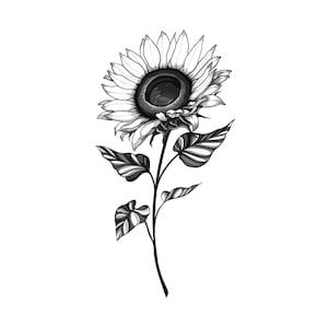 Sunflower Tattoo Design&Stencil | Instant Download | Tattoo Design | Black and Grey