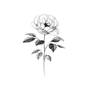 Peony Flower Tattoo Design: Floral Stencil, Line Art Digital Download