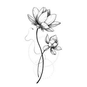 Waterlily Tattoo Design & Stencil: Floral Line Art (Digital Download)