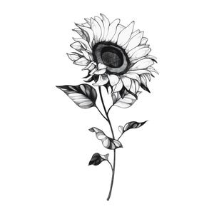 Sunflower Tattoo Design and Stencil | Instant Digital Download