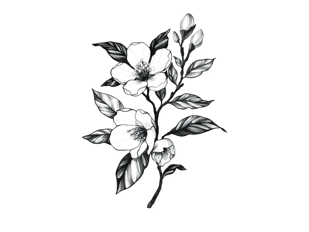 Cherry Blossom Flowers Tattoo Design&stencil | Instant Download | Black ...