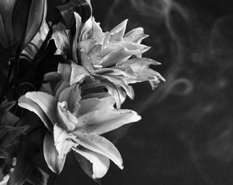 Photo-Roselily with Smoke Plume--Black and White-Vertical-Multiple Sizes