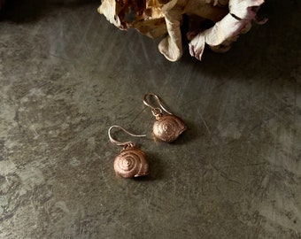 Real Snail Shell Dangle Earrings-Copper Electroplated-Encapsulated Natural-Rose Gold Tone-Real Snail-Cornu aspersum