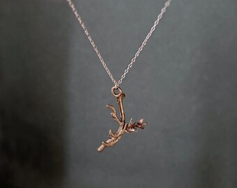 Starling Claw with Sedum Flower Pendant Necklace-Real Claw and Flower Encased in Copper-*Naturally and sustainably collected*