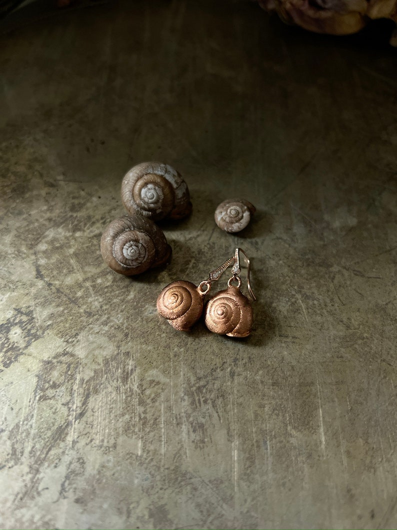 Electroplated-Real Snail Shell Dangle Earrings-Encapsulated Natural-Rhinestone Earwire-Rose Gold Tone Snail-Cornu aspersum image 1