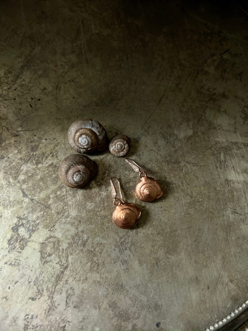 Electroplated-Real Snail Shell Dangle Earrings-Encapsulated Natural-Rhinestone Earwire-Rose Gold Tone Snail-Cornu aspersum image 4
