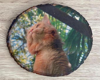 Custom Wood Photo Transfer | Personalized Pet Portraits | Rustic and Sentimental Wood Piece