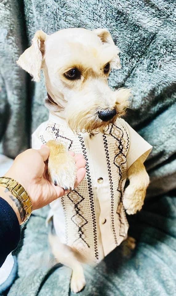 Dog Embroidered Guayaberas - Handmade Dog Clothing