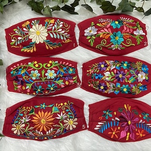 RED Embroidered Face Mask with Filter attached